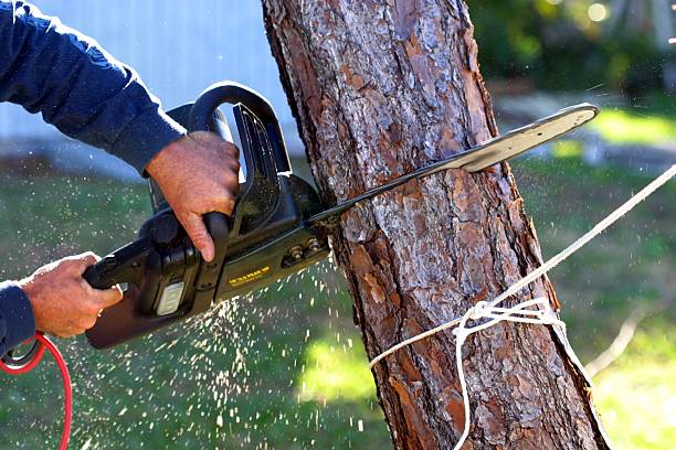 Best Aeration Services  in Westport Village, CT